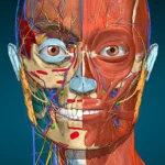 Anatomy Learning Pro APK mod